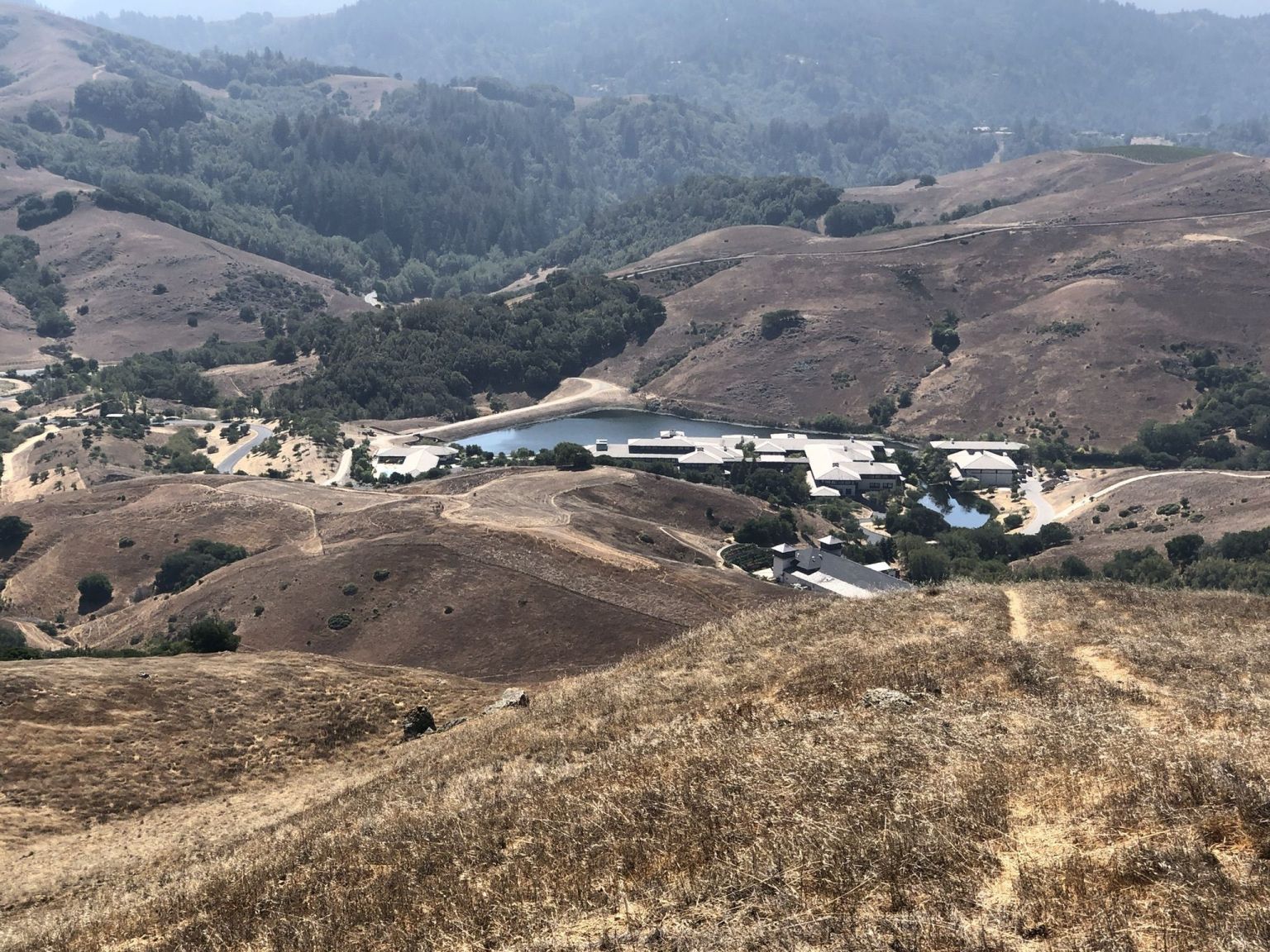 Skywalker Ranch Tour Review [Cost, HowTo Visit, and FAQs] Tales From