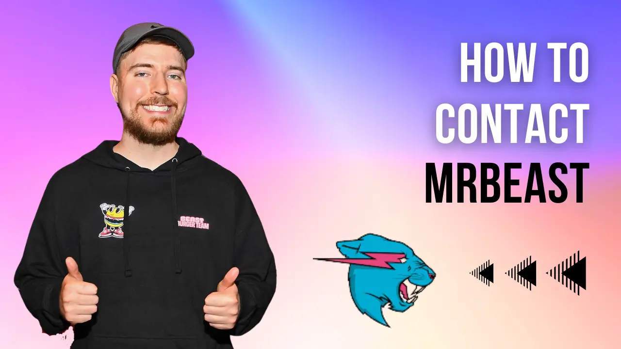 Connecting With MrBeast: Multi Ways To Reach Out And Interact With