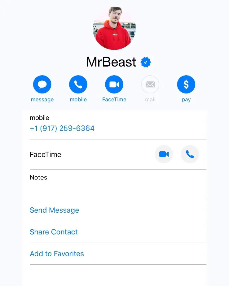 MrBeast Phone Number