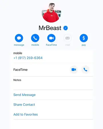MrBeast email and Instagram Influencer profile - @mrbeast