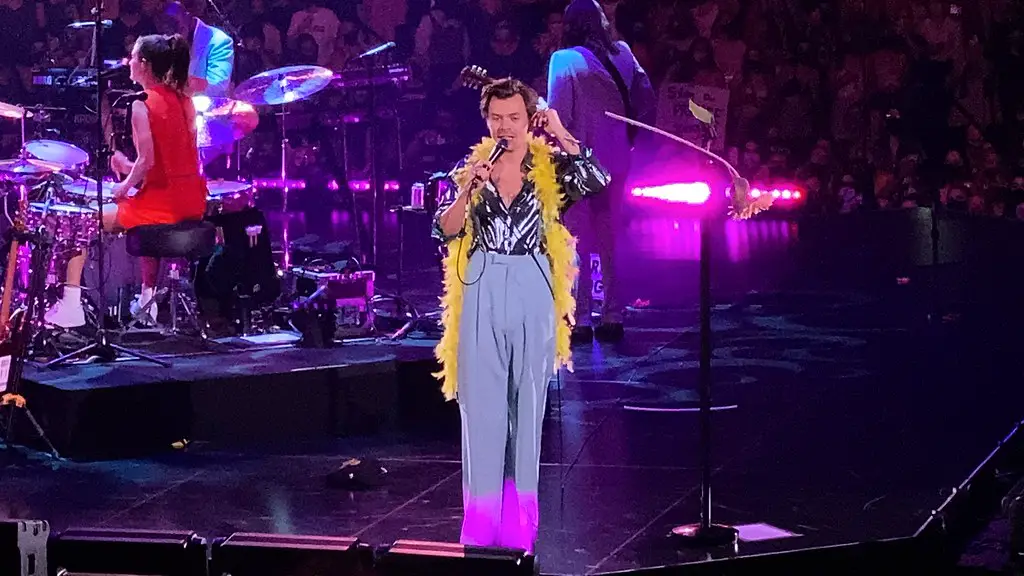 Harry Styles in concert