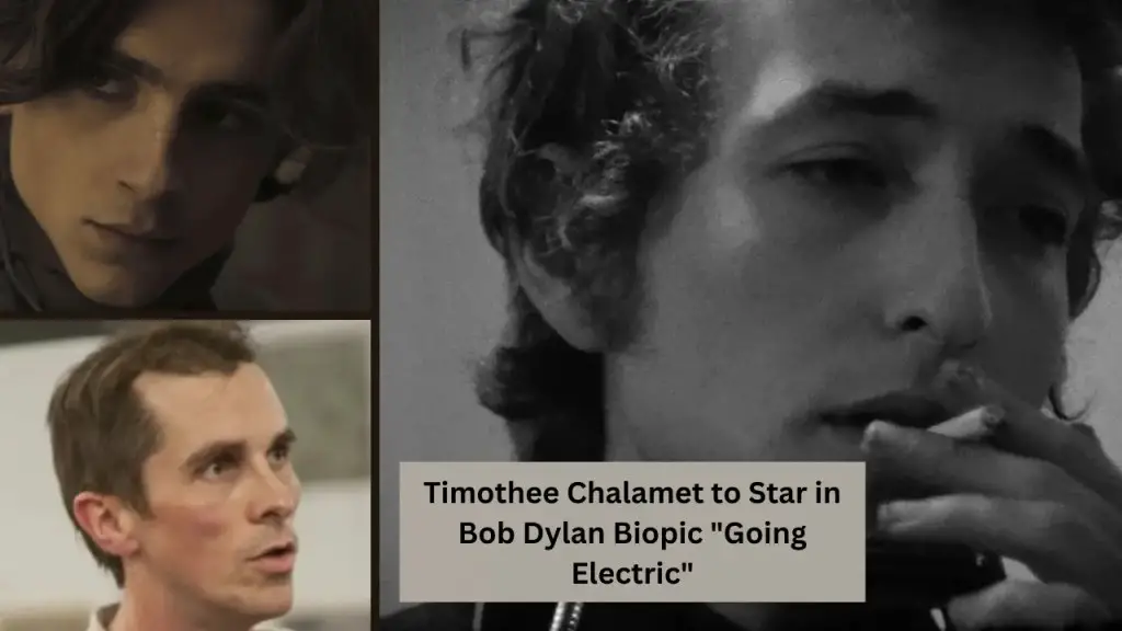 Timothee Chalamet to Star in Bob Dylan Biopic Going Electric