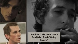 Timothee Chalamet to Star in Bob Dylan Biopic Going Electric