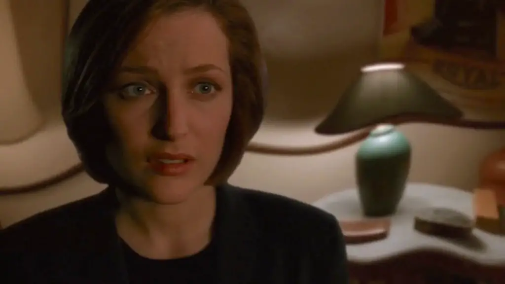 Still of Gillian Anderson in The X-Files and Field Trip