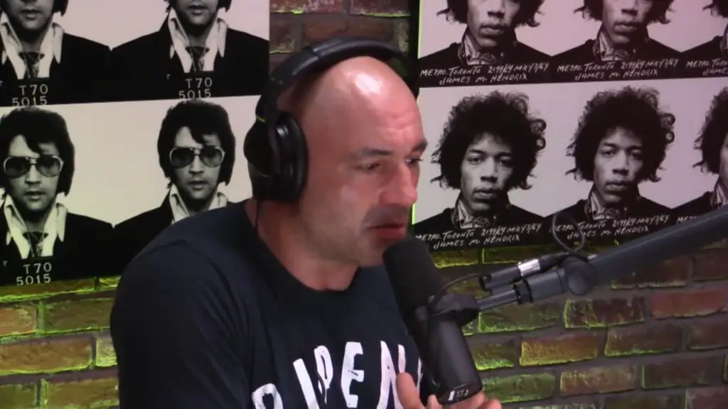 Still of Joe Rogan in Quiet Explosions: Healing the Brain