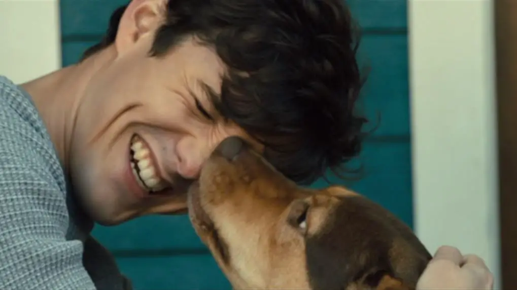 Still of Jonah Hauer-King and Shelby The Dog in A Dog's Way Home
