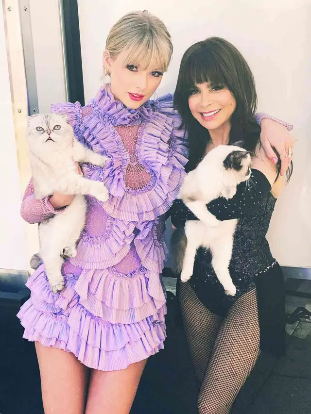 All you need to know about Taylor Swift’s Cats