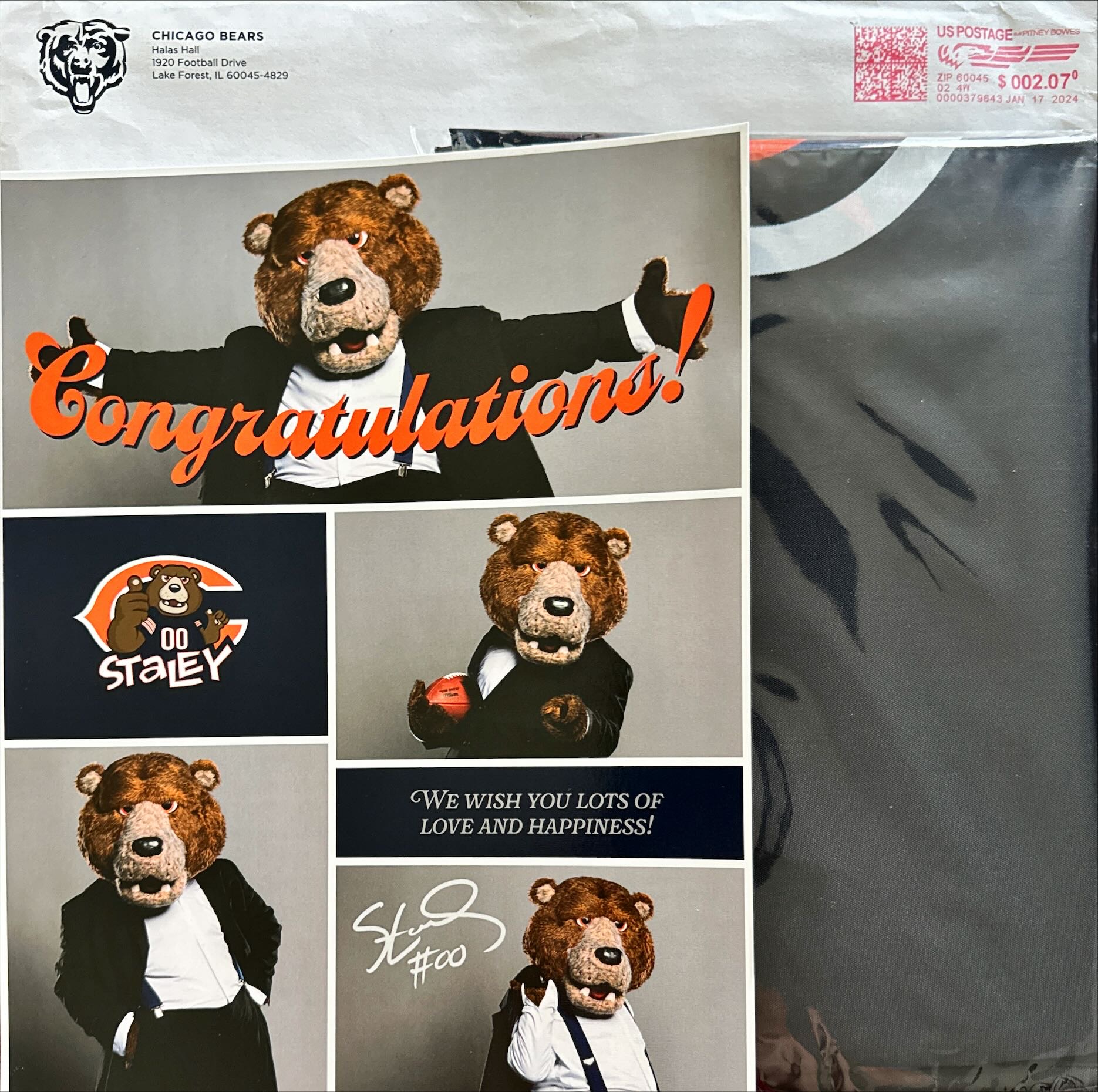 Chicago Bears Flag and Photo