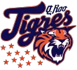 Photo of Tigres de Quintana Roo