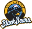Photo of West Virginia Black Bears