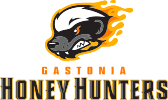 Photo of Gastonia Honey Hunters