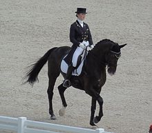 Photo of Judy Reynolds