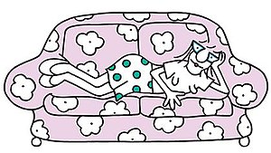 Photo of Candy Guard