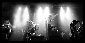 Photo of The Dandy Warhols