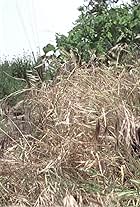 Photo of Barry Bernardi