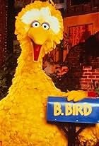 Photo of Big Bird