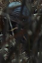 Photo of Cedric Burnside