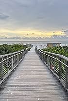 Photo of Peter Sheldrick