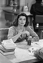 Photo of Tracy Kolis