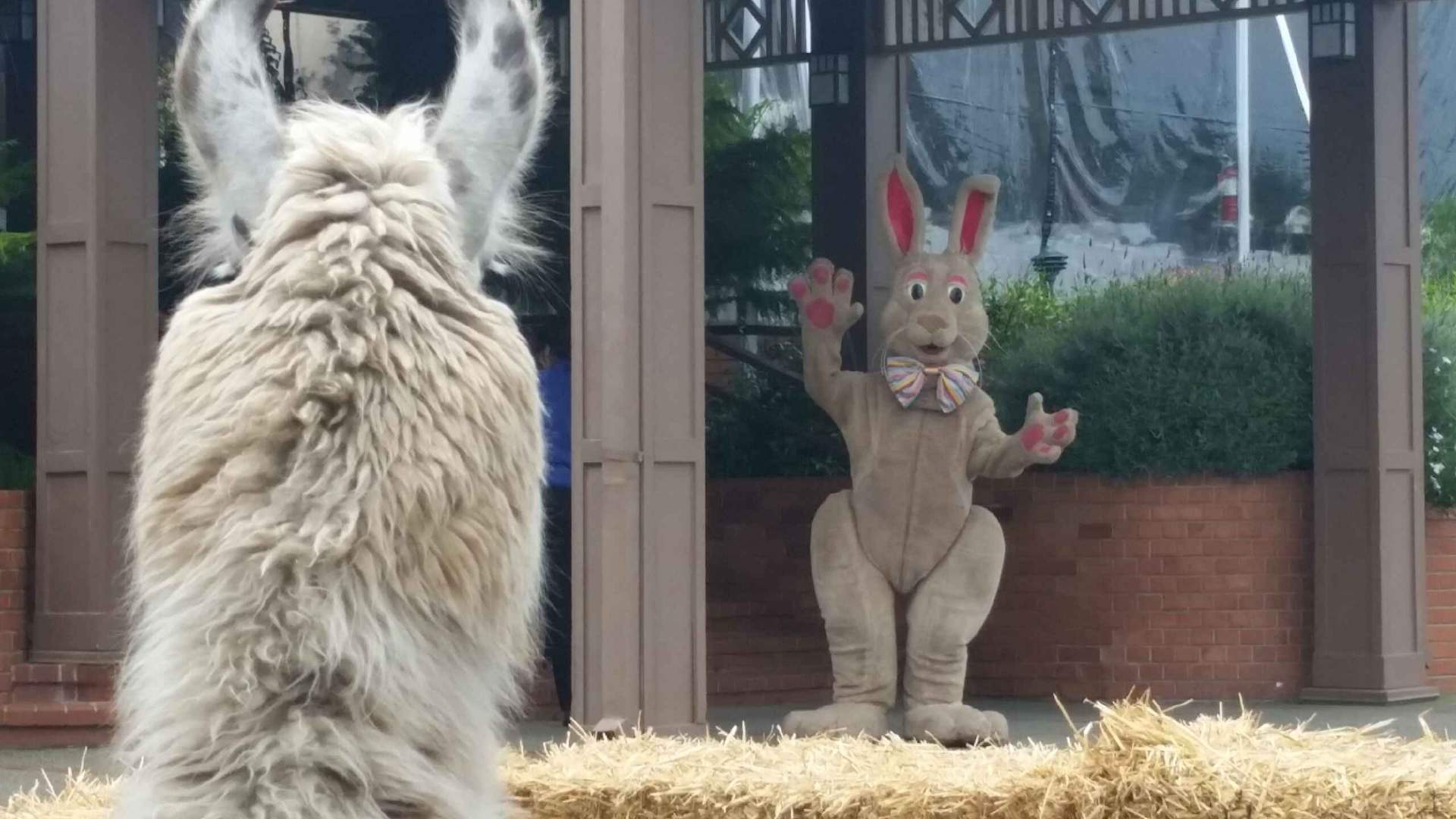 Photo of Jeanne Lauren