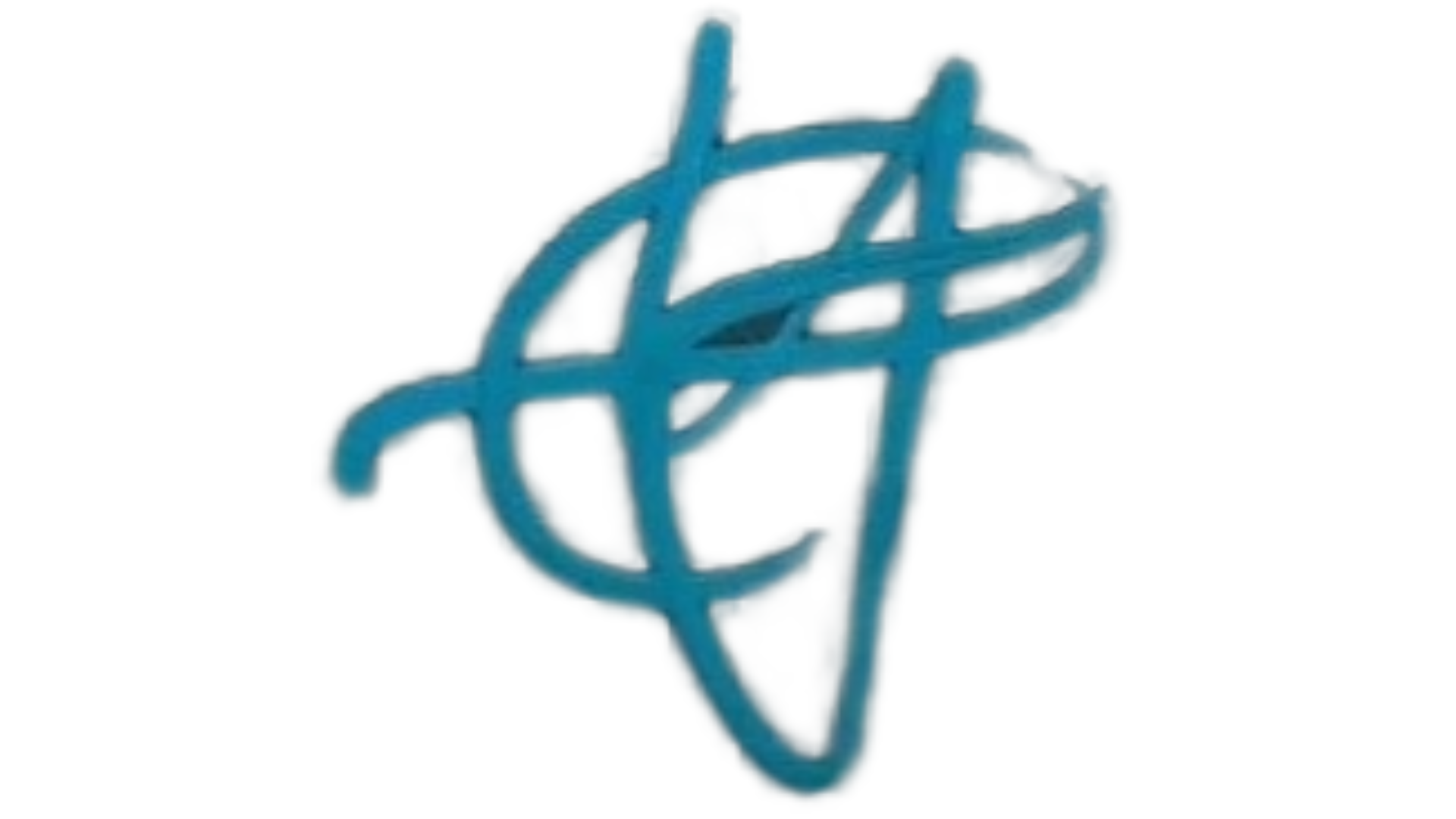 Signature of Daniel Zovatto