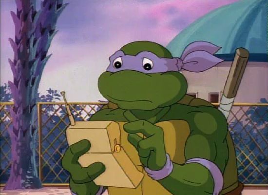 Donatello from the original TMNT