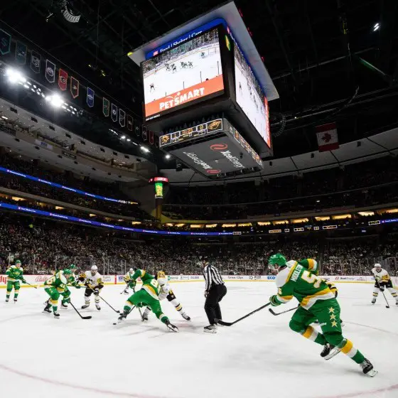 Photo of Minnesota Wild